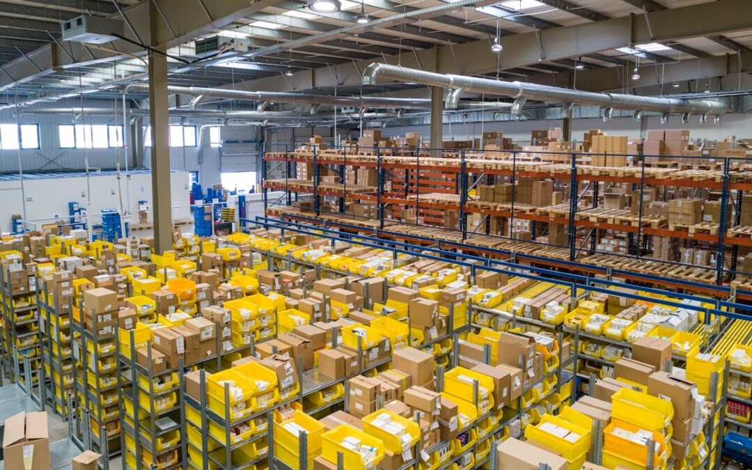 Importar en Argentina: todo lo que tu empresa necesita saber antes de dar el primer paso